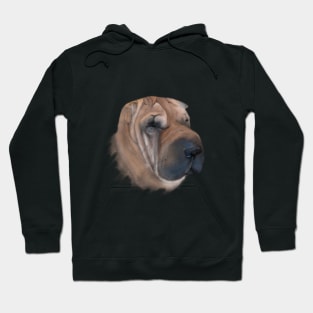 Dog Hoodie